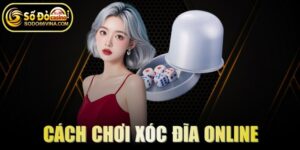 Cách Chơi Xóc Đĩa Online