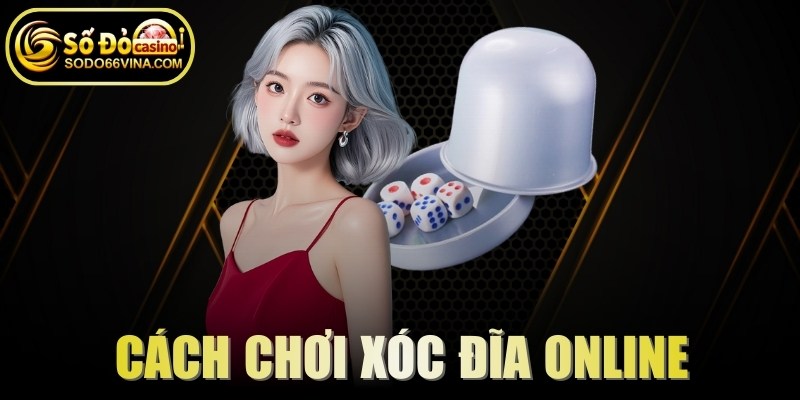 Cách Chơi Xóc Đĩa Online