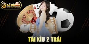 Tài Xỉu 2 Trái