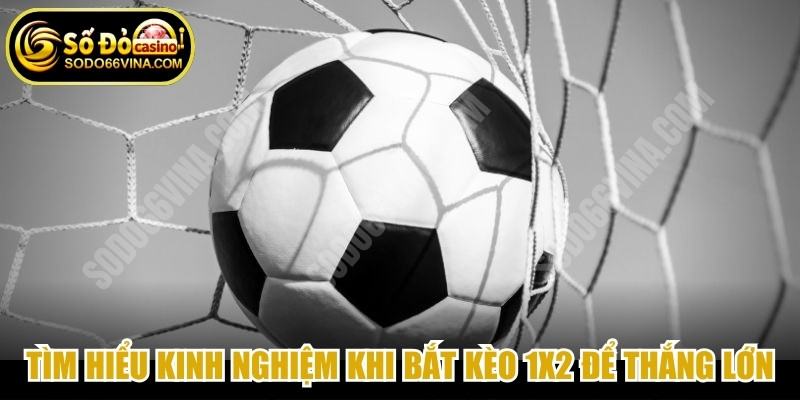 Tìm hiểu kinh nghiệm chuyên gia khi bắt kèo 1x2 là gì để thắng lớn