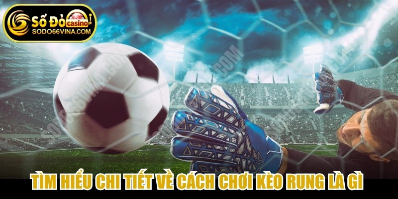 Tìm hiểu chi tiết về cách chơi kèo rung là gì để nâng cao hiệu quả cược