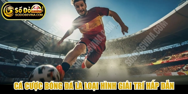 Cá cược bóng đá là loại hình giải trí hấp dẫn, đặc sắc nhất hiện nay