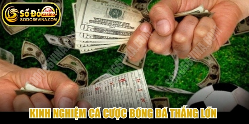 Kinh nghiệm cá cược bóng đá thắng lớn các chuyên gia SODO66 bật mí