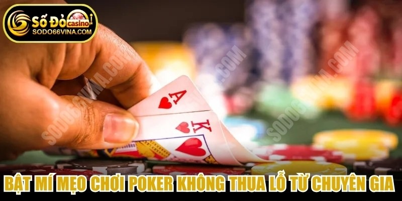Bật mí mẹo chơi Poker không thua lỗ từ chuyên gia dày dạn kinh nghiệm